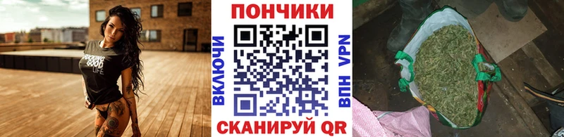 Канабис сатива где купить Пущино